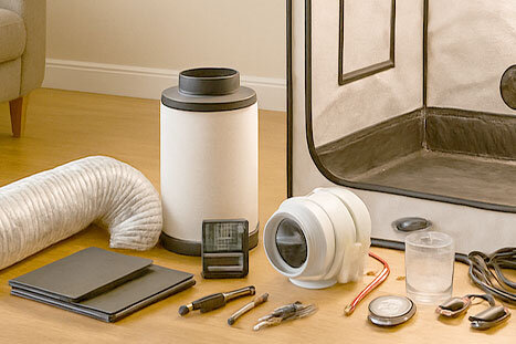 Controlling Indoor Climate Correctly - Controlling Indoor Climate – Temperature, Humidity & CO₂ in the Grow Room | Schall & Rauch