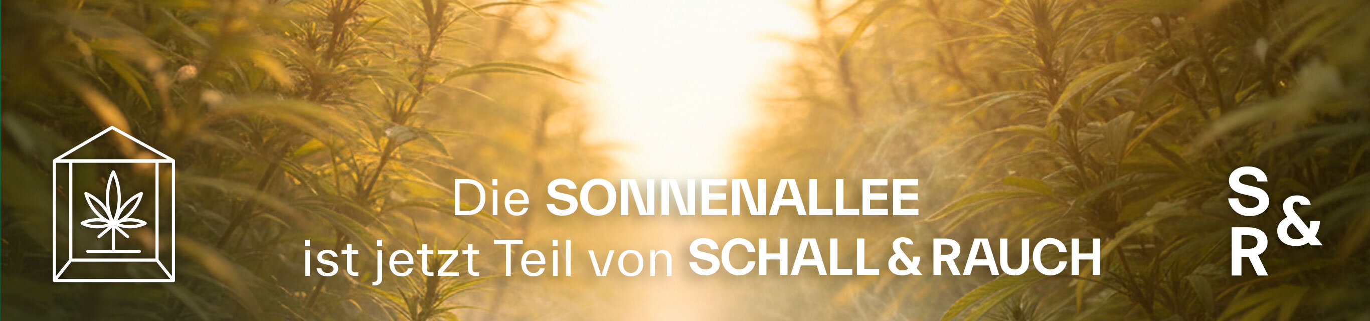 Sonnenallee jetzt bei Schall & Rauch