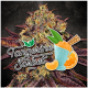 Paradise Seeds Tangerine Sorbet - Fem - 10er