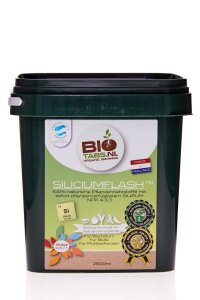 BioTabs Silicium Flash 1,25 kg