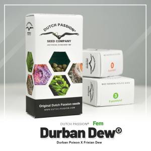 Dutch Passion Durban Dew - Fem - 5er