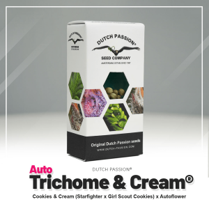 Dutch Passion Trichome &amp; Cream - Auto - 3er