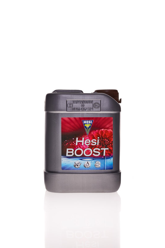 Hesi Boost 2,5 l