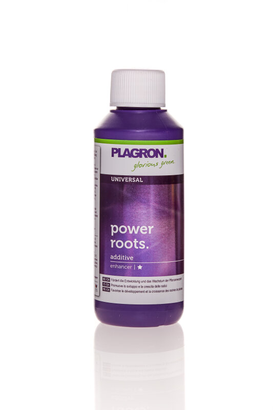 Plagron Power Roots 100 ml