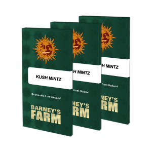 Barneys Farm Kush Mintz / Fem / 5er