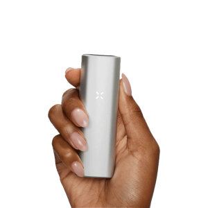PAX MINI - silber