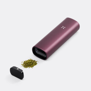 PAX PLUS - elderberry