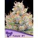 Anesia-Seeds-Future-#1 - Fem - 10er