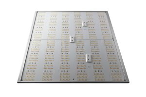 Caluma LED Force 240 W 2.7µmol/J
