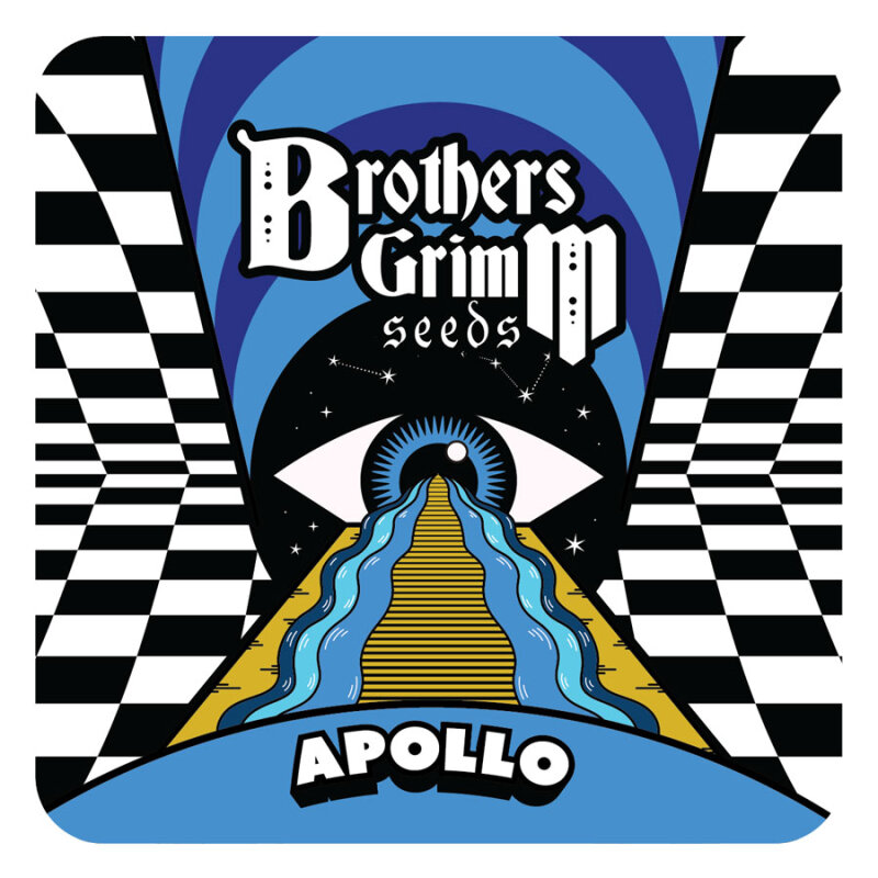 BGS Apollo Feminisiert 3er