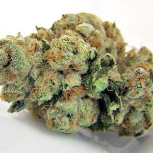 TCC Chem 4 OG Fem. 6er