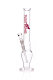 Highline Bong Tussi 36cm 14,5