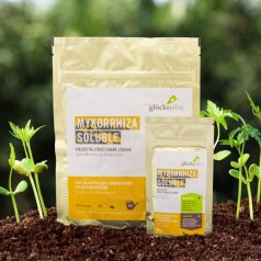 Mykorrhiza Soluble 30 g