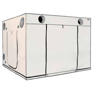 Homebox Ambient Q300 Plus - 300 x 300 x 220 cm