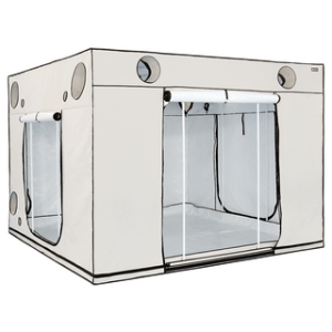 Homebox Ambient Q300 Plus - 300 x 300 x 220 cm