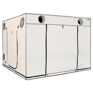Homebox Ambient Q300 Plus / 300 x 300 x 220 cm