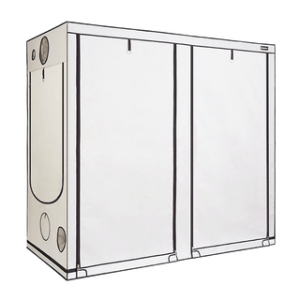 Homebox Ambient Q240 Plus - 240 x 240 x 220 cm