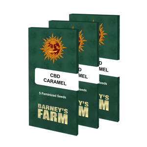 Barneys Farm CBD Caramel - Reg - 10er