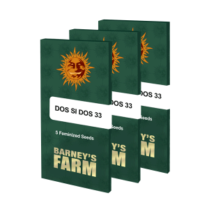 Barneys Farm Dos Si Dos 33 - Fem - 10er