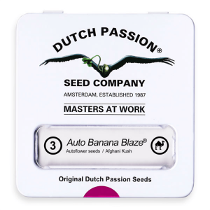 Dutch Passion Auto Banana Blaze - Auto - 3er