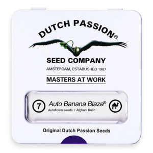 Dutch Passion Auto Banana Blaze - Auto - 7er