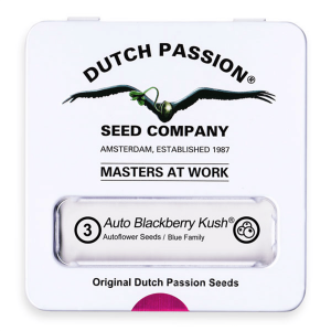 Dutch Passion Auto Blackberry Kush - Auto - 3er