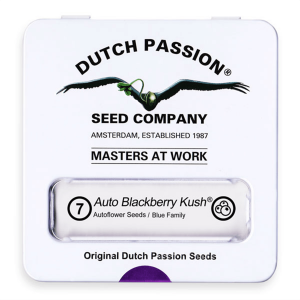 Dutch Passion Auto Blackberry Kush - Auto - 7er