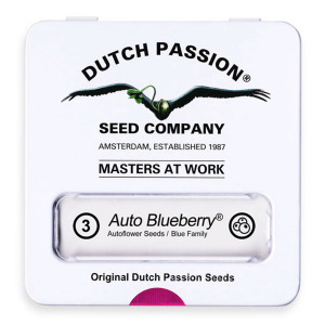 Dutch Passion Auto Blueberry / Auto / 3er
