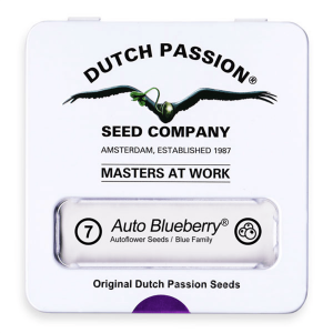 Dutch Passion Auto Blueberry - Auto - 7er
