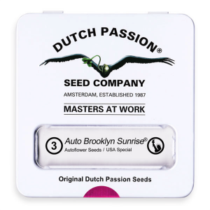 Dutch Passion Auto Brooklyn Sunrise - Auto - 3er