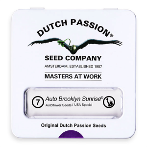 Dutch Passion Auto Brooklyn Sunrise / Auto / 7er