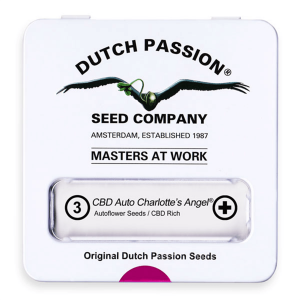 Dutch Passion Auto CBD Charlotte`s Angel - Auto - 3er