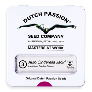 Dutch Passion Auto Cinderella Jack - Auto - 3er