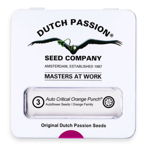 Dutch Passion Auto Critical Orange Punch - Auto - 3er
