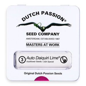 Dutch Passion Auto Daiquiri Lime / Auto / 3er