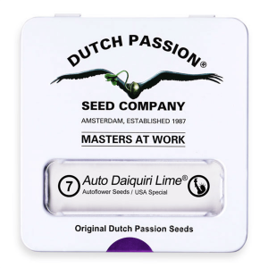 Dutch Passion Auto Daiquiri Lime - Auto - 7er