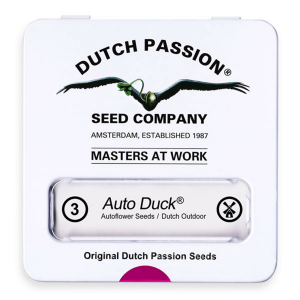 Dutch Passion Auto Duck - Auto - 3er