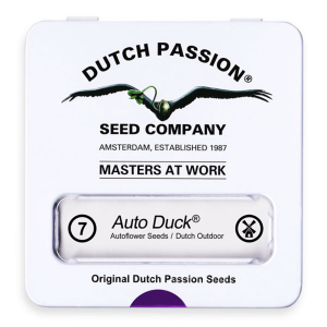 Dutch Passion Auto Duck / Auto / 7er
