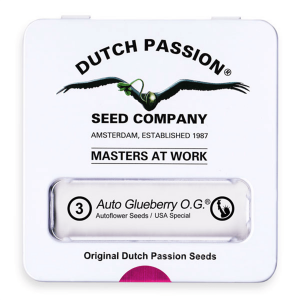 Dutch Passion Auto Glueberry O.G. - Auto - 3er