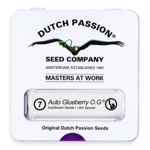 Dutch Passion Auto Glueberry O.G. - Auto - 7er
