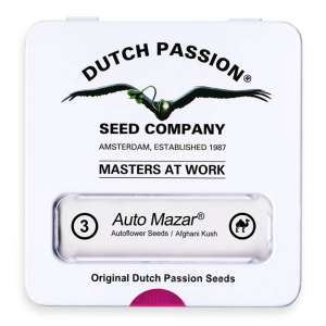 Dutch Passion Auto Mazar - Auto - 3er