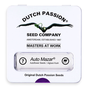 Dutch Passion Auto Mazar - Auto - 7er