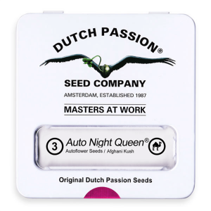 Dutch Passion Auto Night Queen - Auto - 3er