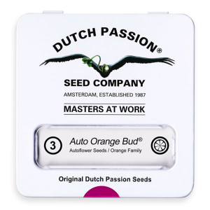 Dutch Passion Auto Orange Bud - Auto - 3er