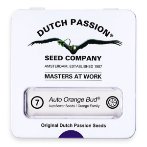 Dutch Passion Auto Orange Bud - Auto - 7er