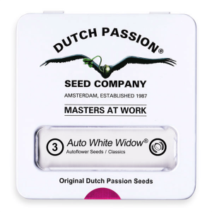 Dutch Passion Auto White Widow - Auto - 3er