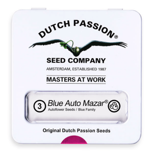 Dutch Passion Blue Auto - Mazar - Auto - 3er