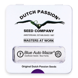 Dutch Passion Blue Auto - Mazar - Auto - 7er