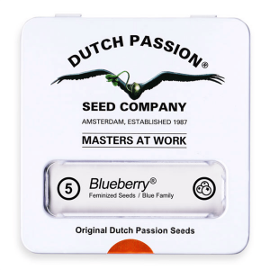 Dutch Passion Blueberry - Fem - 5er