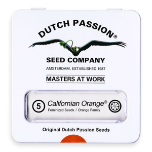 Dutch Passion Californian Orange - Fem - 5er